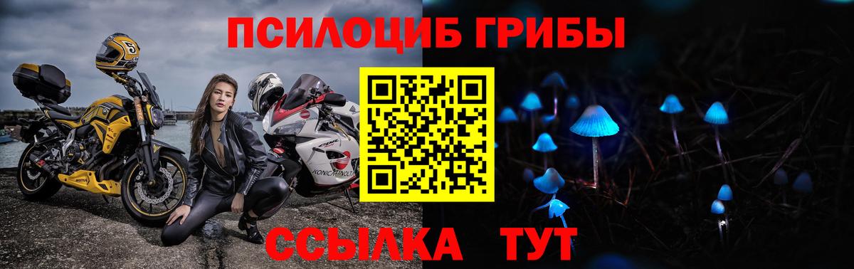 Когалым  Галлюциногенные грибы Psilocybe  Вход с VPN 